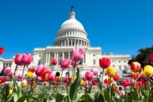 Spring Convention, Board of Directors Meeting & Barge-In